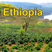 etheopiaRegion