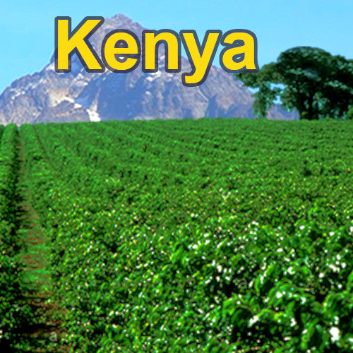 kenyaRegion