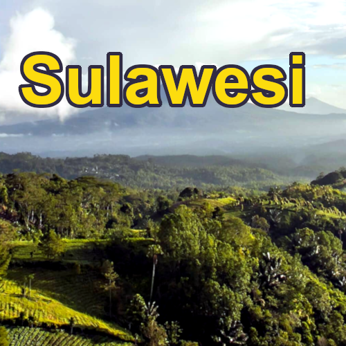 sulawesiRegion