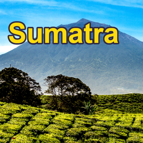 sumatraRegion