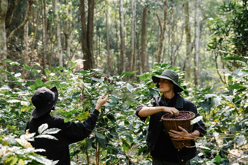 Brew a Better Future: How Regenerative Coffee Farming Impacts Your Morning Cup in Renton