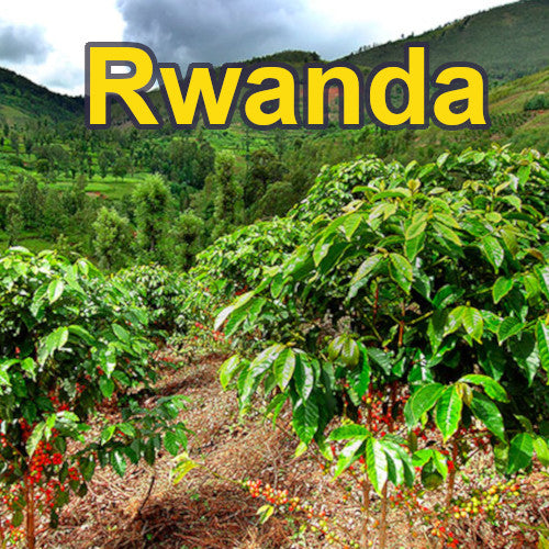 rwandaRegion