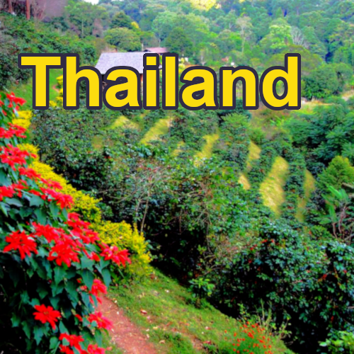 thailandRegion